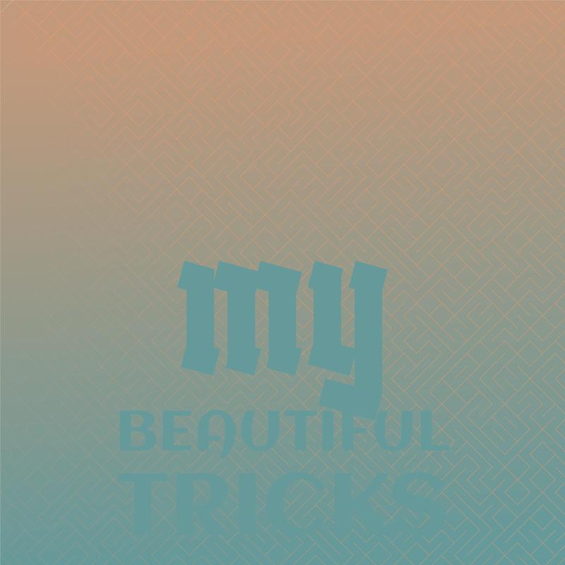 MyBeautifulTricks封面