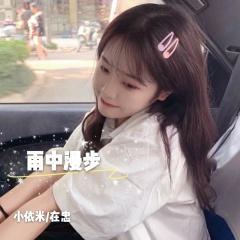 车载专用 (DJ版)