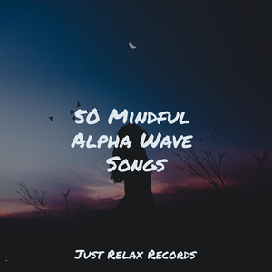 Soul's Melodic Journey