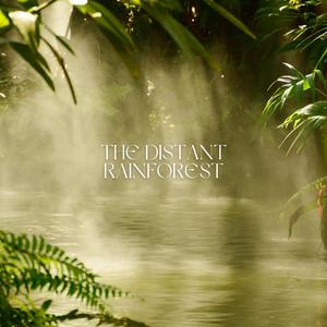 The Distant Rainforest