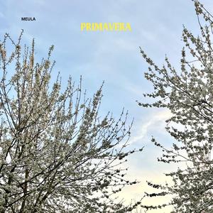Primavera
