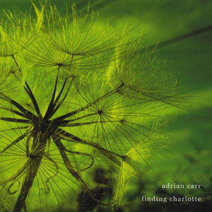 Amid Dreams of the Road