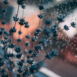 White Noise for Restful and Deep Sleep