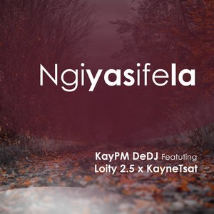 Ngiyasfela (Radio Edit)