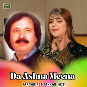 Da Ashna Meena