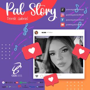 Pal Story