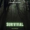 XiSouls - Survival