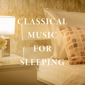 德弗札克: F大调第十二号弦乐四重奏《美国》, 作品96-不过甚的快板