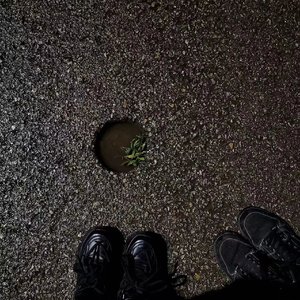 Улеталиптицамигордыми (Slowed)