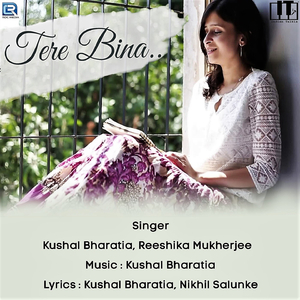 Tere Bina