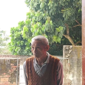 春风得意马蹄疾