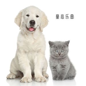 小蘑菇的欢愉之声 (钢琴)