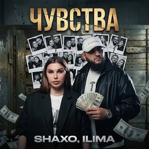 Чувства