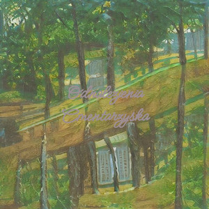 Odnalezienia Cmentarzyska