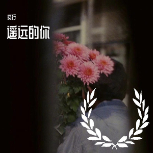 遥远的你