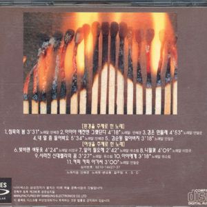 사라진 신데렐라의 꿈