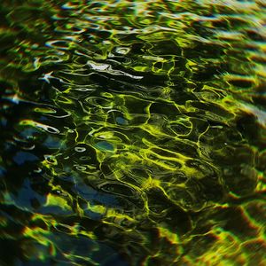 那片绿叶不会再靠近那朵雪花