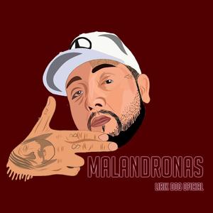 Operativa 159 Sierra Fox