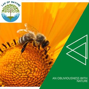 Oceanic Serenity Sea Waves