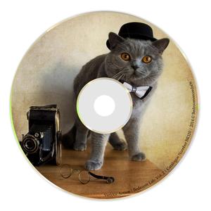 Gravity (Original mix)