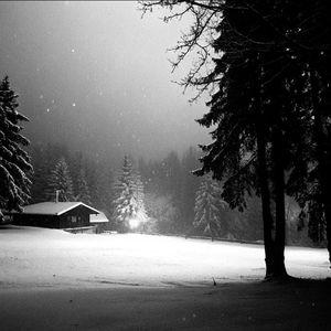 爱你但说不出口