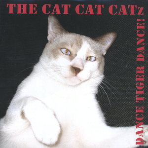 Vengaboy Goes To Ibiza