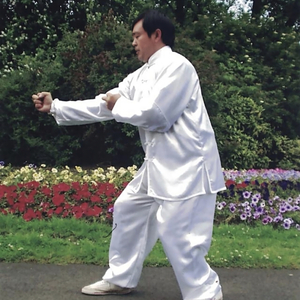 我只要略为出手