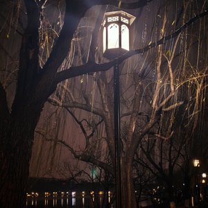 城市霓虹下的爱殇