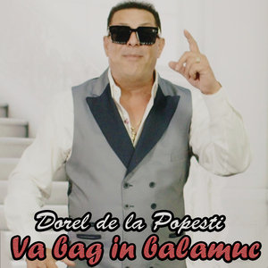 Va bag in balamuc