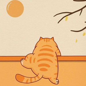 翻过墙只为看你一眼