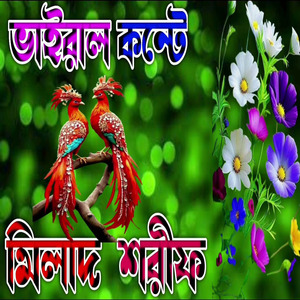 ভাইরাল কন্টে মিলাদ শরীফ