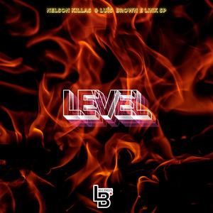 Level