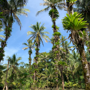适合办公事务雅观的音乐