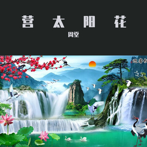靖坝葱