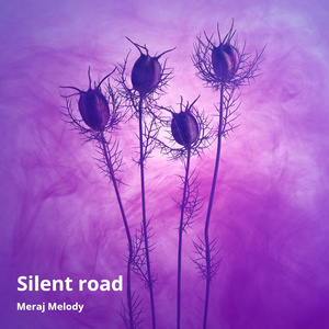 Silent Road