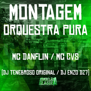 Montagem Orquestra Pura