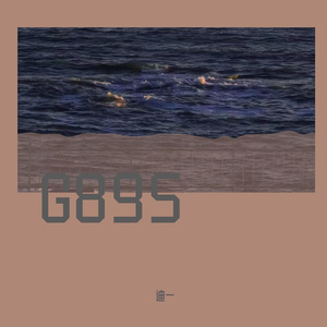 G895