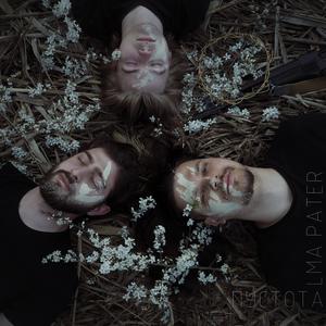 Близится ночь