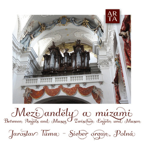 Sedm posledních slov Vykupitelových na Kříži:Bože můj, Bože můj, proč jsi mě opustil?