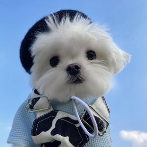 一个人去巴黎 1.2x