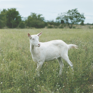 Hajnali 4 a Király utcában (Remix)