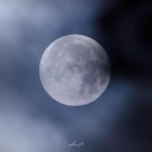 for ya（翻自 群星）