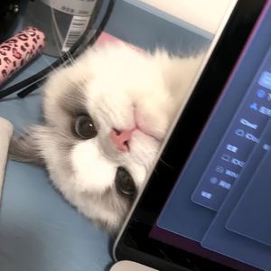 沉溺（你让我的心不再结冰）