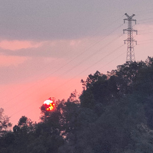 在那片油菜花盛开的地方 （prod EVOMUSIC）