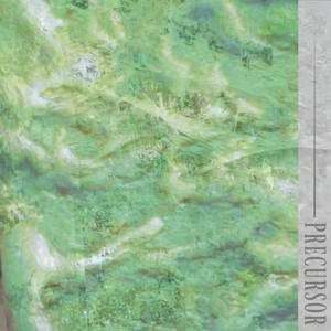 Precursor
