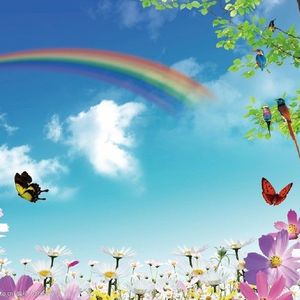 别让他感觉 (13)