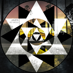 Fly Wood (Original Mix)