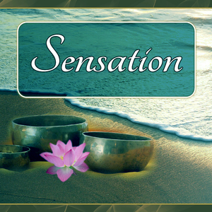 Serenity Spa Music Relaxation
