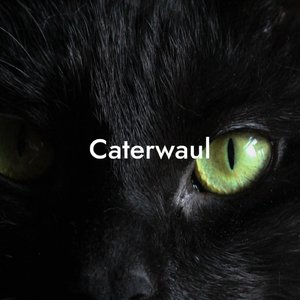 Caterwaul