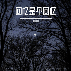 谁说平凡不能张扬